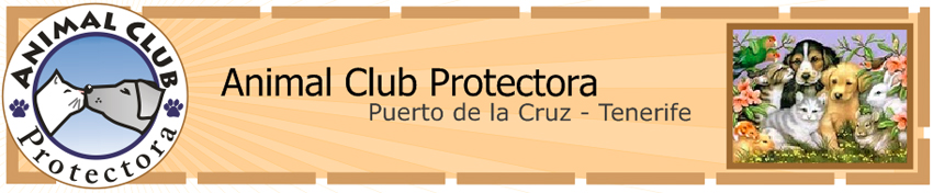 Animal Club Protectora